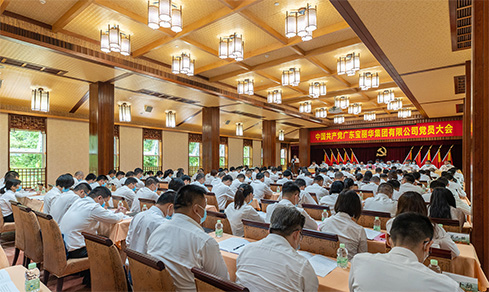 “凝心聚力，联结奋进” <br>中共BBIN宝盈集团集团党委成功召开换届选举大会
